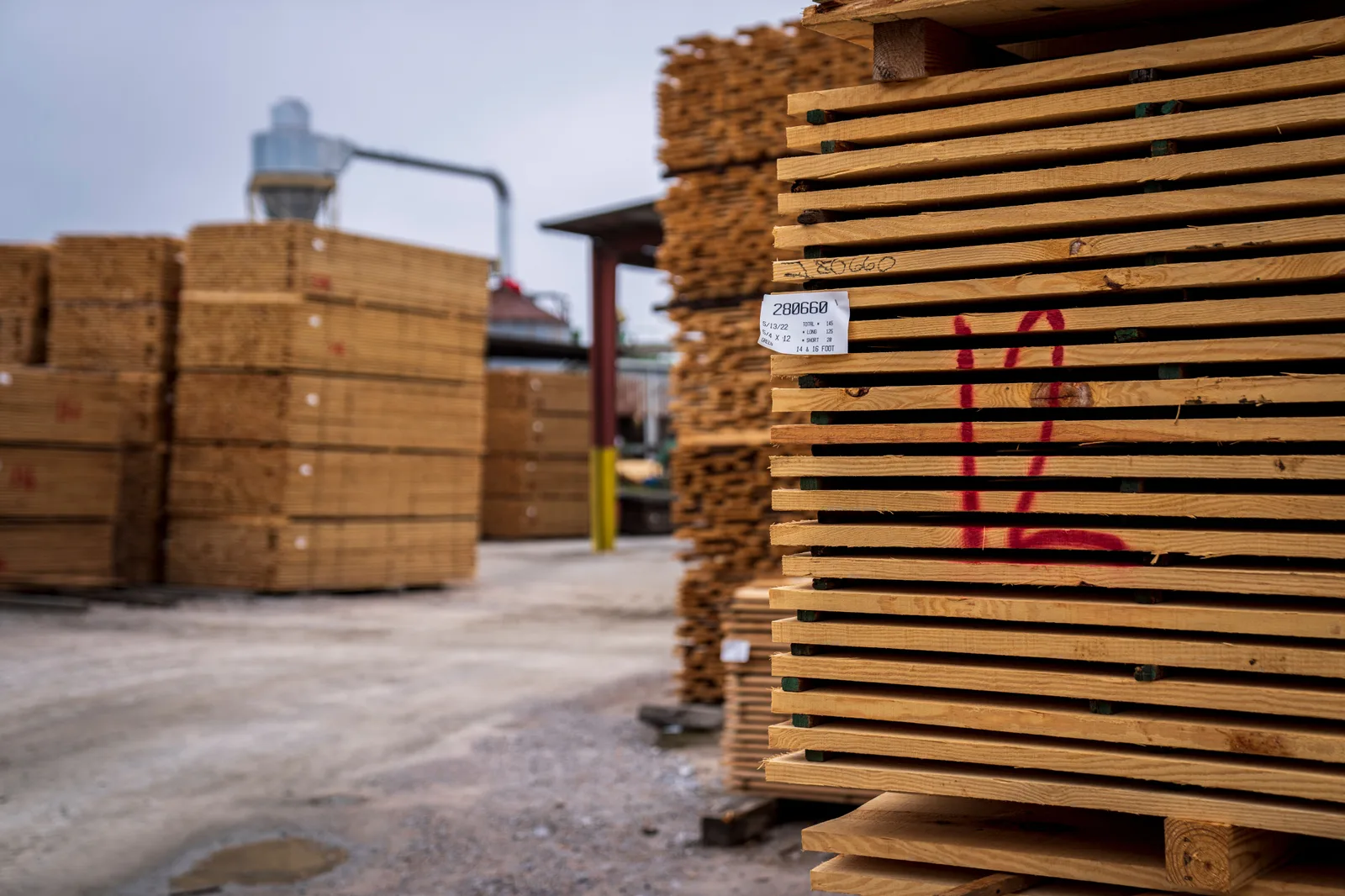 Bundles of sawn lumber stacked and tagged in an outdoor yard at a mill