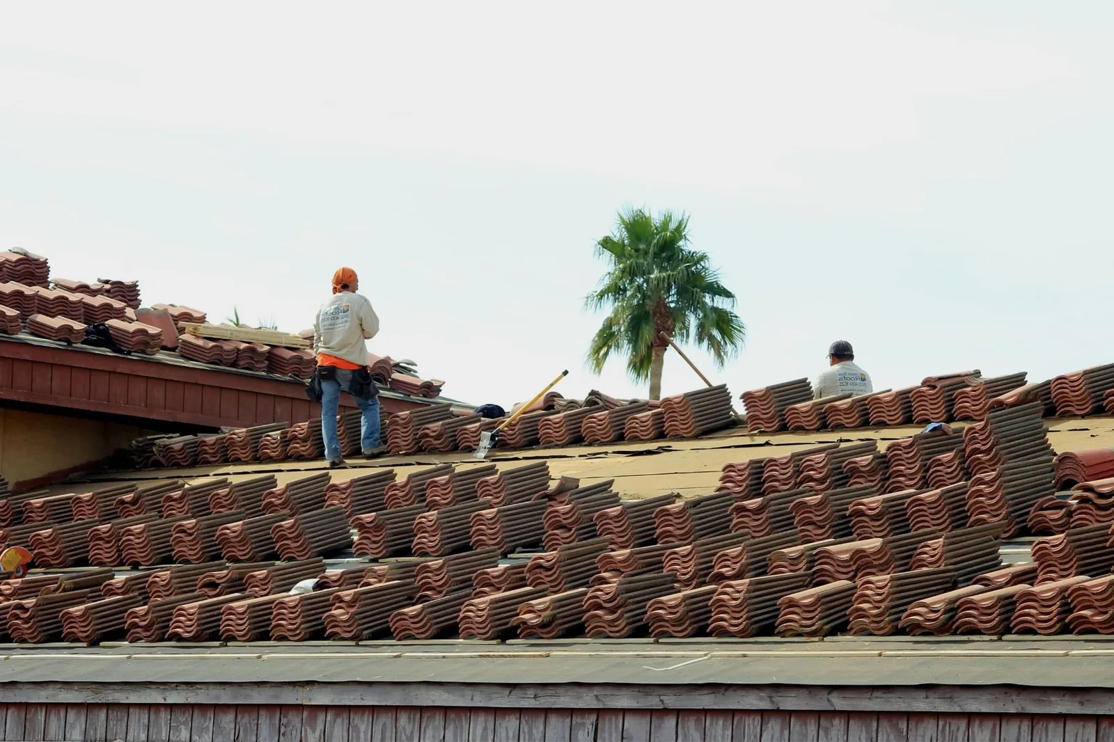 Two roofers laying terracotta barrel tiles across a roof with a palm tree behind them