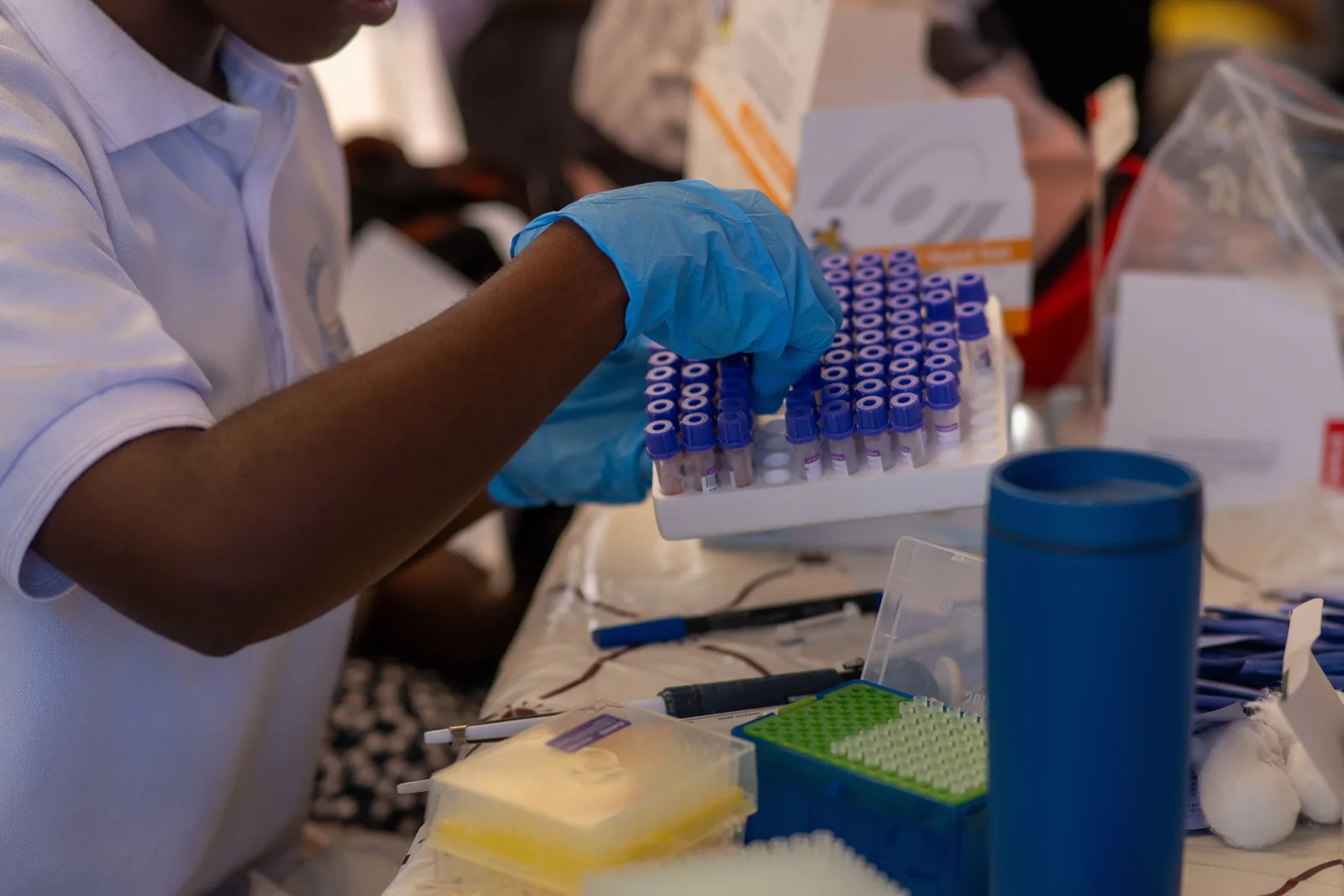 A laboratory worker in gloves arranging labelled sample tubes in a rack